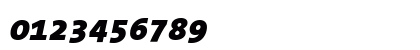 TheSans Mono Black Italic Numeric Preview