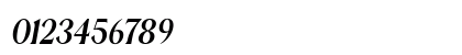 EXTRA Serif Italic Numeric Preview