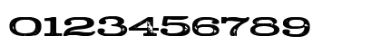 Stud Regular Numeric Preview