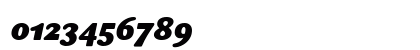 Sari Black Italic Numeric Preview
