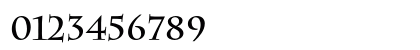 CharlotteAP Bold Preview