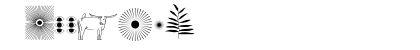 Raligur Personal Use Numeric Preview