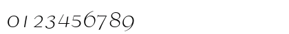 00599 Regular Numeric Preview