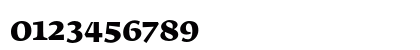 FedraSerifB BoldSC Numeric Preview