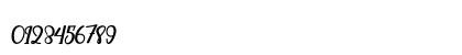 Christopher Script Regular Numeric Preview