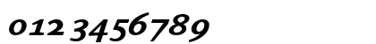 ArtemiusSans SN TT Bold Italic Numeric Preview