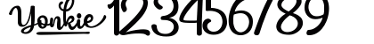 Yonkie Regular Numeric Preview