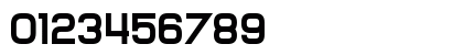 Assembled From Scratch Regular Preview