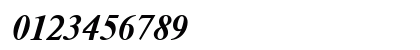 Newton Bold Italic Numeric Preview