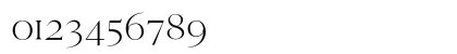 Cammron Demo Regular Numeric Preview