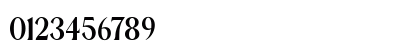 EXTRA Serif Regular Numeric Preview