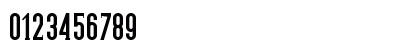 Pacific Standard Serif Bold Numeric Preview