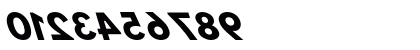 Hussar BdReversedObl3 Numeric Preview