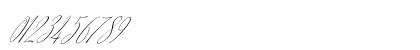 Argentina Script Italic Preview