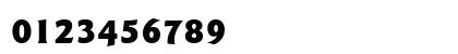 00316 Regular Preview