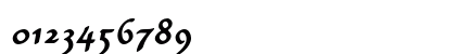 CarlinScript LT Std Light BoldItalic Numeric Preview