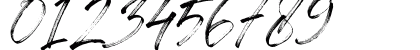 Zingakon Regular Numeric Preview