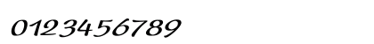 Present_Script Bold Italic Numeric Preview
