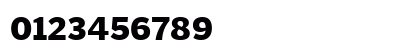 PoynterText Regular Numeric Preview