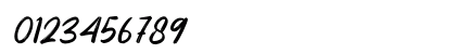 South Austria - Personal Use Italic Numeric Preview