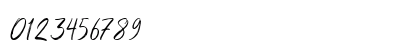 Shutten Reason Free Regular Numeric Preview