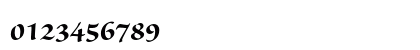 Sanvito Pro Bold Subhead Numeric Preview
