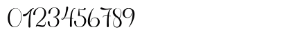 Chigoda Script Regular Numeric Preview