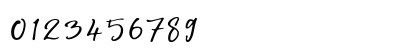 Southnis Regular Numeric Preview