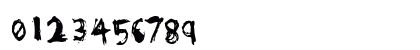 Loveable Scruff Regular Preview
