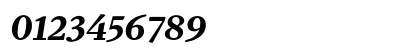 DB Serif Bold Italic Numeric Preview
