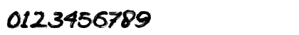 BACOTER Regular Preview
