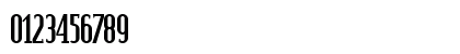 Pacific Serif Bold Numeric Preview