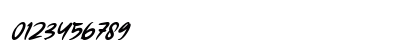 Forsegi Italic Numeric Preview