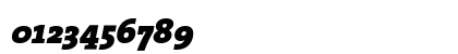 TheSerif Black Italic Numeric Preview