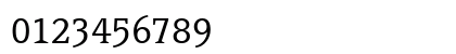PageSerifTF-Light Regular Numeric Preview