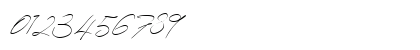 pamsetto Regular Numeric Preview