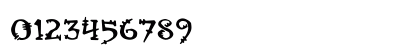Orbus Multiserif Preview