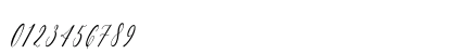 Charlotte Calligraphy Slant Regular Numeric Preview