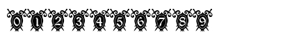 101! The ShieldZ Regular Preview