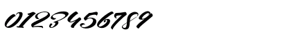 Seinna Grace Demo Version Regular Numeric Preview