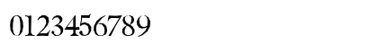 Berylium Regular Numeric Preview