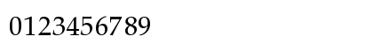 Bahij Palatino Arabic Regular Numeric Preview