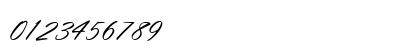 OrionScript Regular Numeric Preview