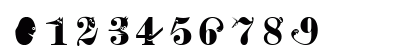 Zoography Regular Numeric Preview