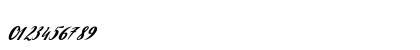 Patricia Script Regular Numeric Preview