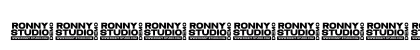 Bigerside Expanded Regular Numeric Preview