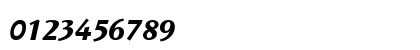 Wunderlich Bold Italic Numeric Preview