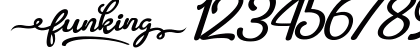 Funking Regular Numeric Preview