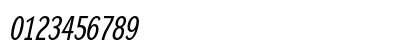 DynaGrotesk RC Italic Numeric Preview