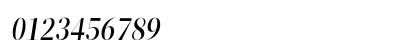 ZT Neue Ralewe Med Italic Preview